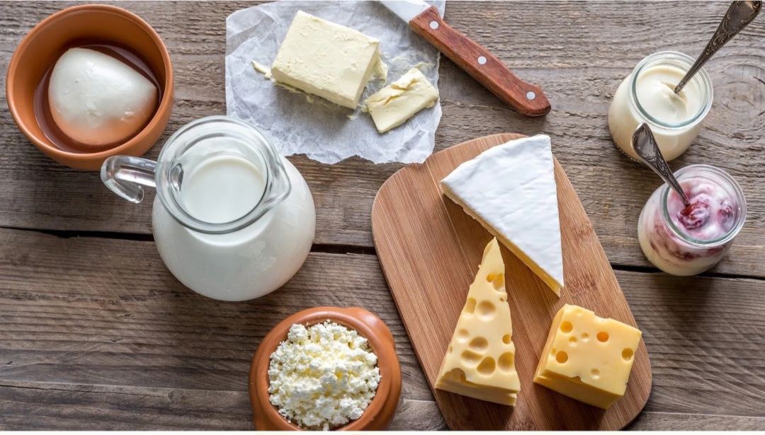 Kalsiyum ve Protein Kaynağı Olarak Süt Ürünleri image